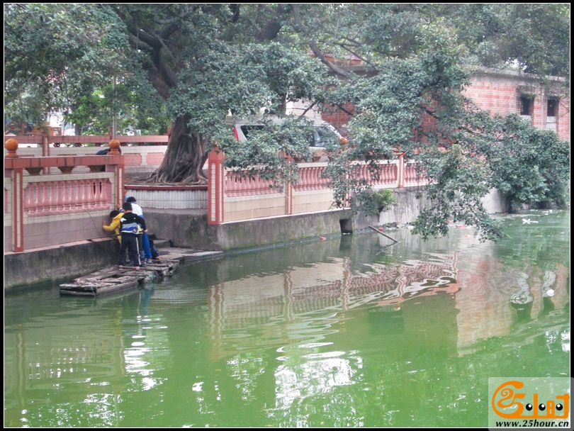 娃仔岀意外，双方有责6.jpg