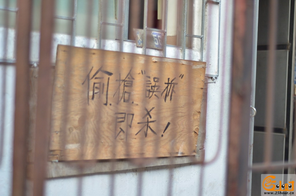 4 DSC_4378_缩小大小.JPG