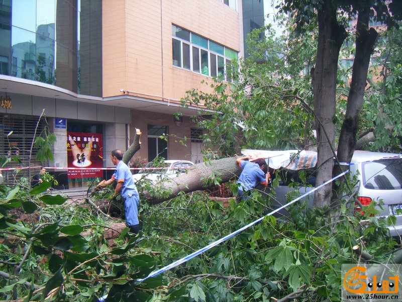 惠景城风雨过后 1_0002.jpg