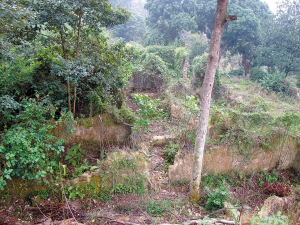 千年古刹：三水南丹山开元寺