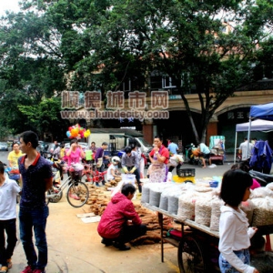 伦教市场噪音扰民，街坊直呼“受不了”