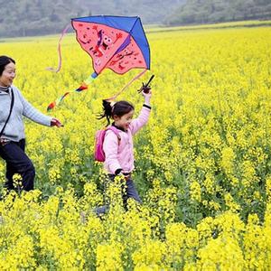 亲:“春天踏青赏花 谨防花粉过敏哦!”