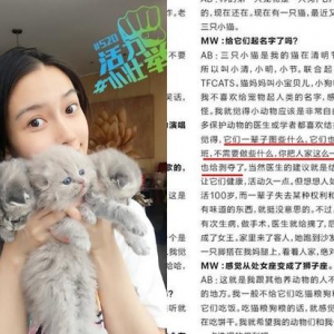 Baby养折耳猫反对结扎 被炮轰没有脑子