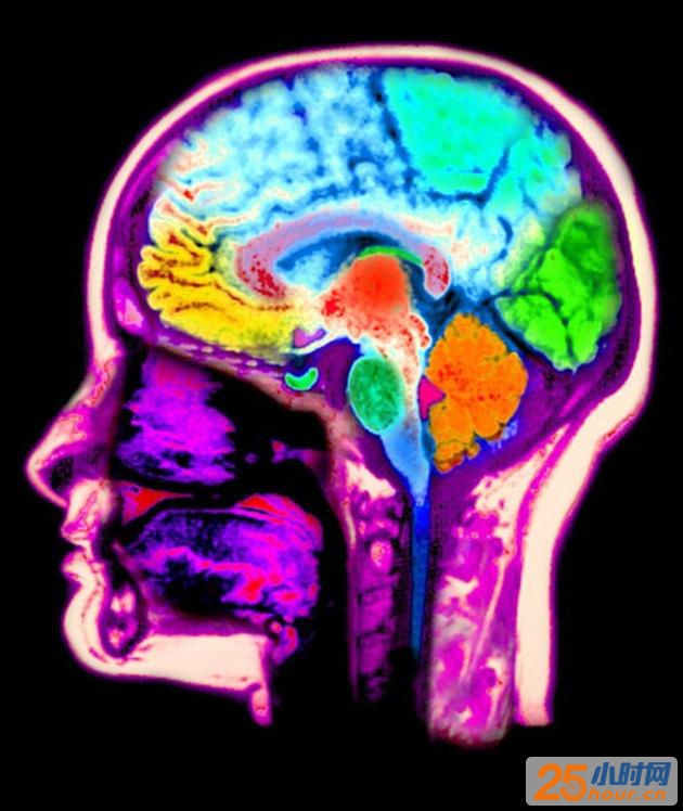 研究结果表明，岛叶皮质在感知和分辨体内、外信号时发挥着重要作用，而且大脑会调低某些信号的“音量”，以更加专注于其他信号。