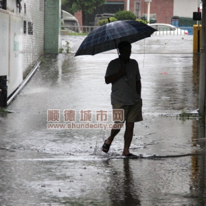 暴雨止不住，顺德开启“雨水模式”！