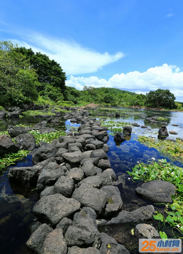 盛夏也