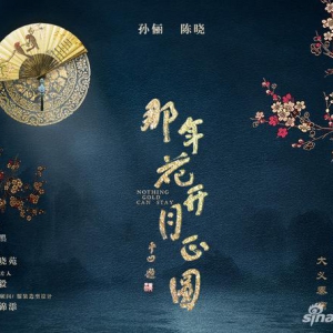 孙俪陈晓《那年花开月正圆》曝概念海报