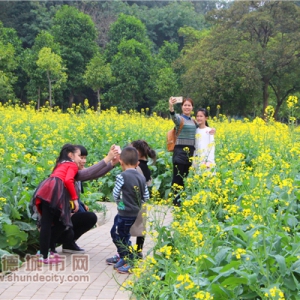 顺峰山公园油菜花开了，是时候约起赏花啦