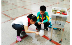 今年9月起小学一年级增科学课