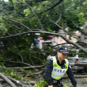 正能量！风雨中清理路障 保市民出行通畅