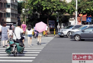 禅城斑马线上一般程序交通事故大幅下降