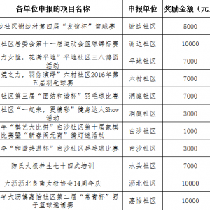 2017年第一季度大沥镇社区体育活动扶持资金项目