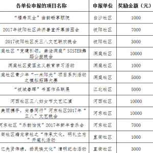 2017年第二季度大沥镇社区文化活动扶持资金项目