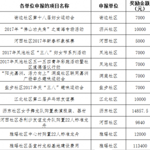 2017年第二季度大沥镇体育事业发展扶持资金项目