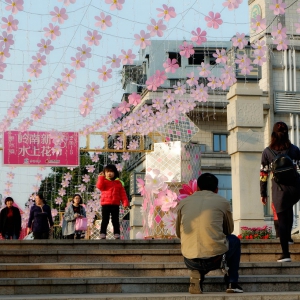 4A级景区水上花市邀你来赏！春节超两万人次游“梦里水乡”