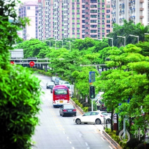 南海大道海五路口 试行“借道左转”