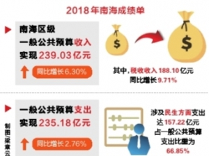 2018年南海区一般公共预算收入达239.03亿元