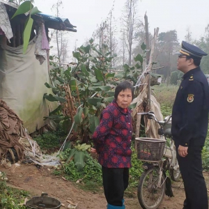 依法打击“两违”!张槎城管拆除约千方河滩违法搭建