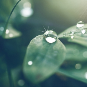 春归谷雨，夏日将至