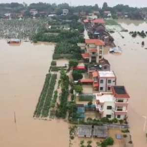 珠江流域117条河流发生超警洪水