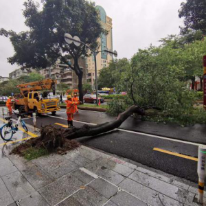 逆风而行！他们在风雨中从不缺席