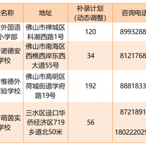 跨区补录！佛山这些民办中小学可面向市内区外补录