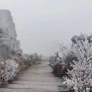 一觉醒来，广东下雪了！佛山寒冷橙色预警生效中，气温低至……